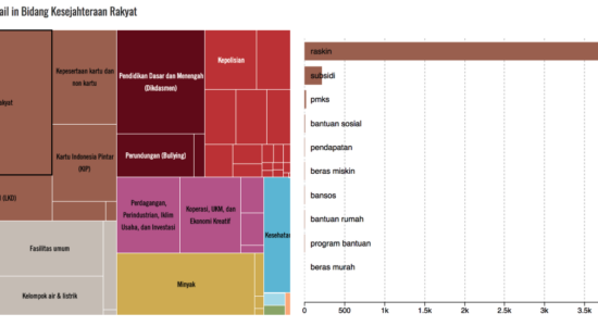 Big Data for Population and Social Policies